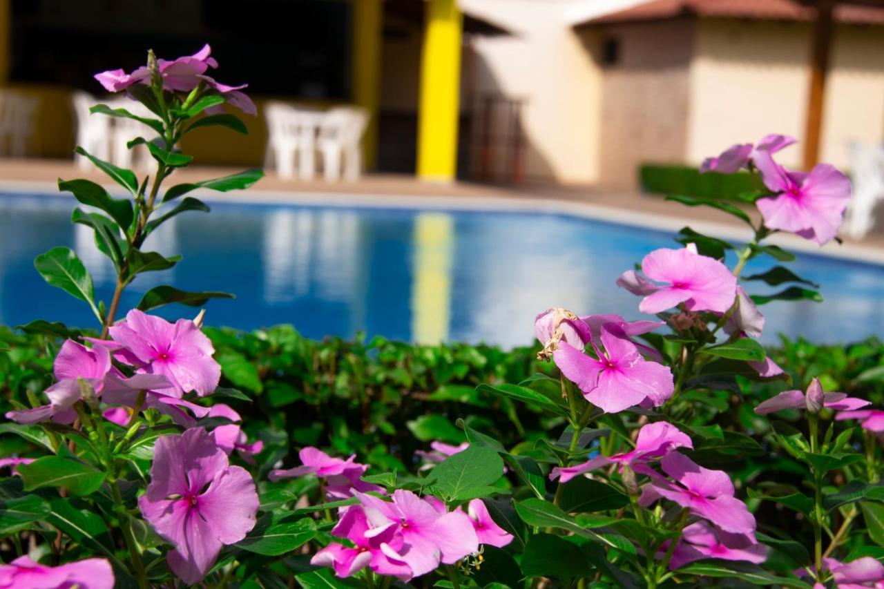 Deluxe Suites Guacamayos - Eco-Lodge & Swimming Pool Bonao Екстер'єр фото
